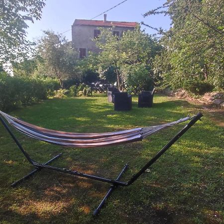 Sole E Ventu 50Qm Daire San-Giovanni-di-Moriani Dış mekan fotoğraf