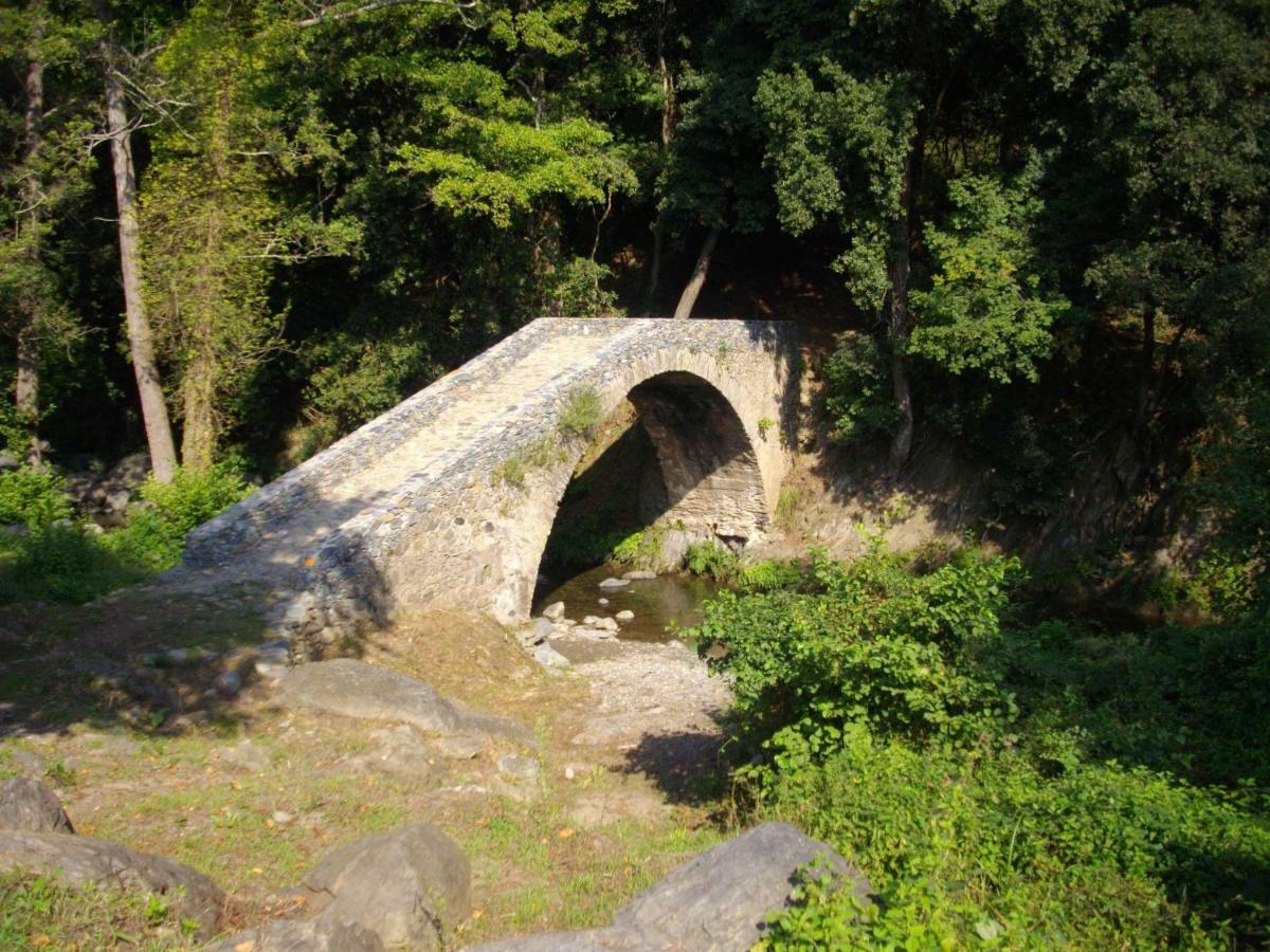 Sole E Ventu 50Qm Daire San-Giovanni-di-Moriani Dış mekan fotoğraf