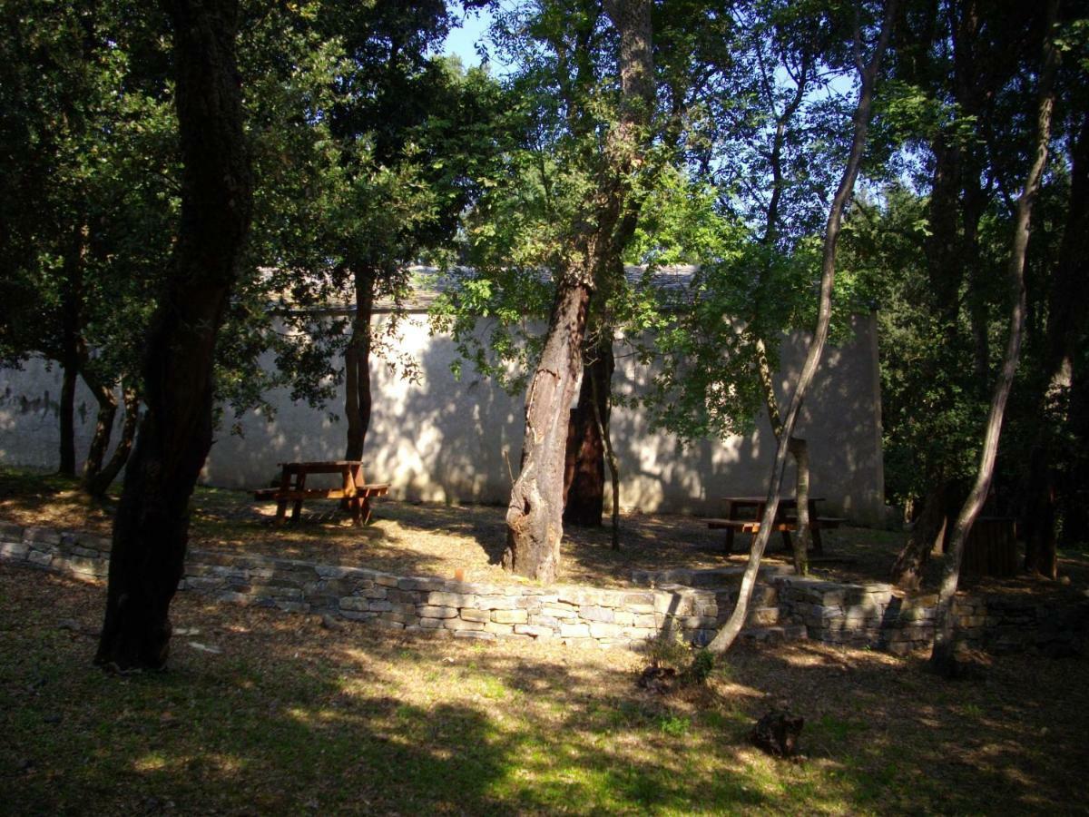Sole E Ventu 50Qm Daire San-Giovanni-di-Moriani Dış mekan fotoğraf