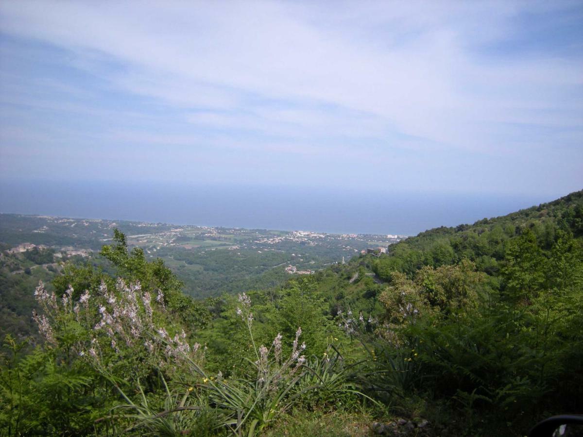 Sole E Ventu 50Qm Daire San-Giovanni-di-Moriani Dış mekan fotoğraf